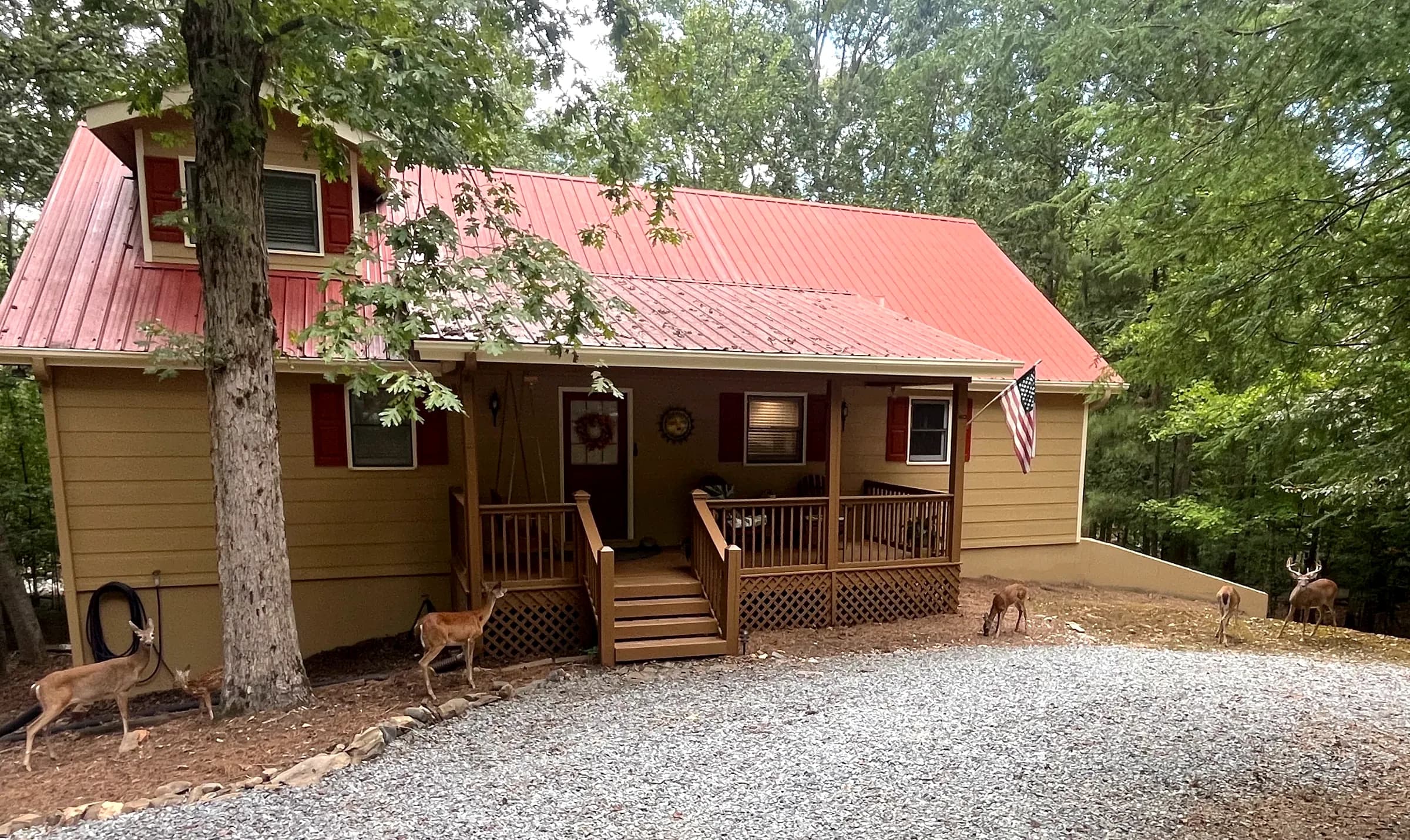 Taste and See Oasis cabin with deer in the yard, Ellijay, Georgia